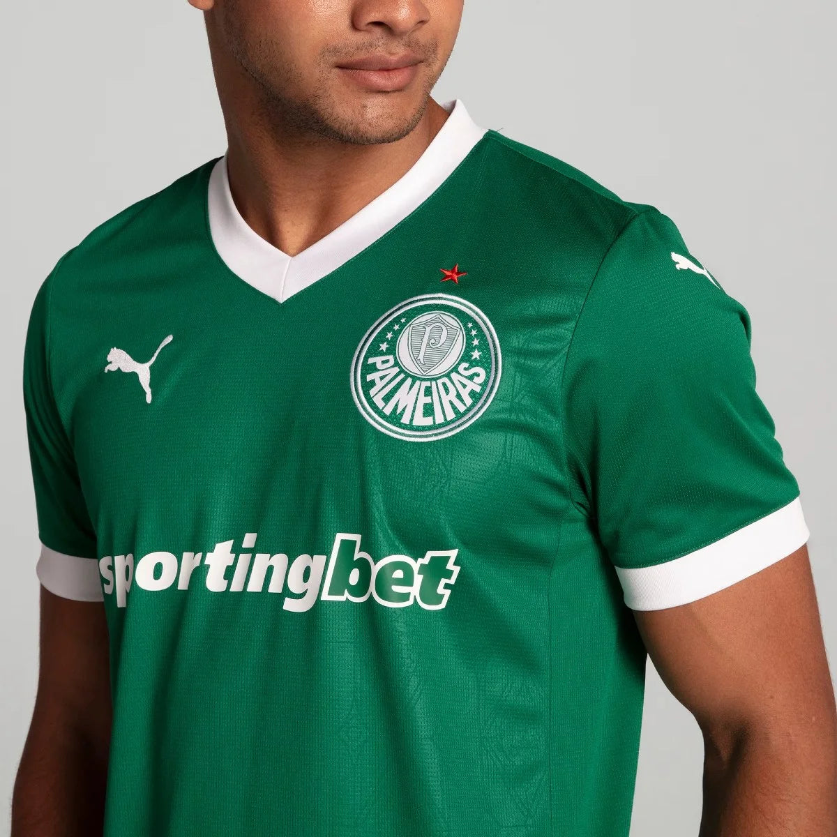 Camisa Palmeiras Puma I 25/26
