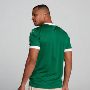 Camisa Palmeiras Puma I 25/26